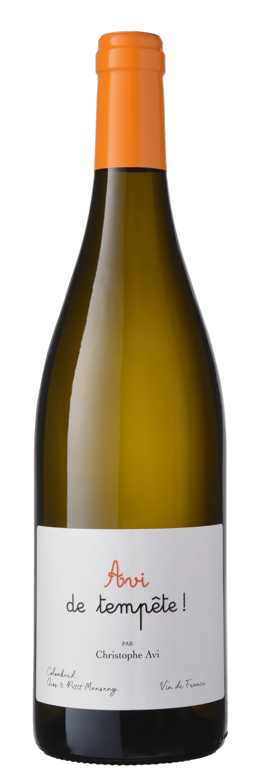 AVI de Tempête 2024 Blanc