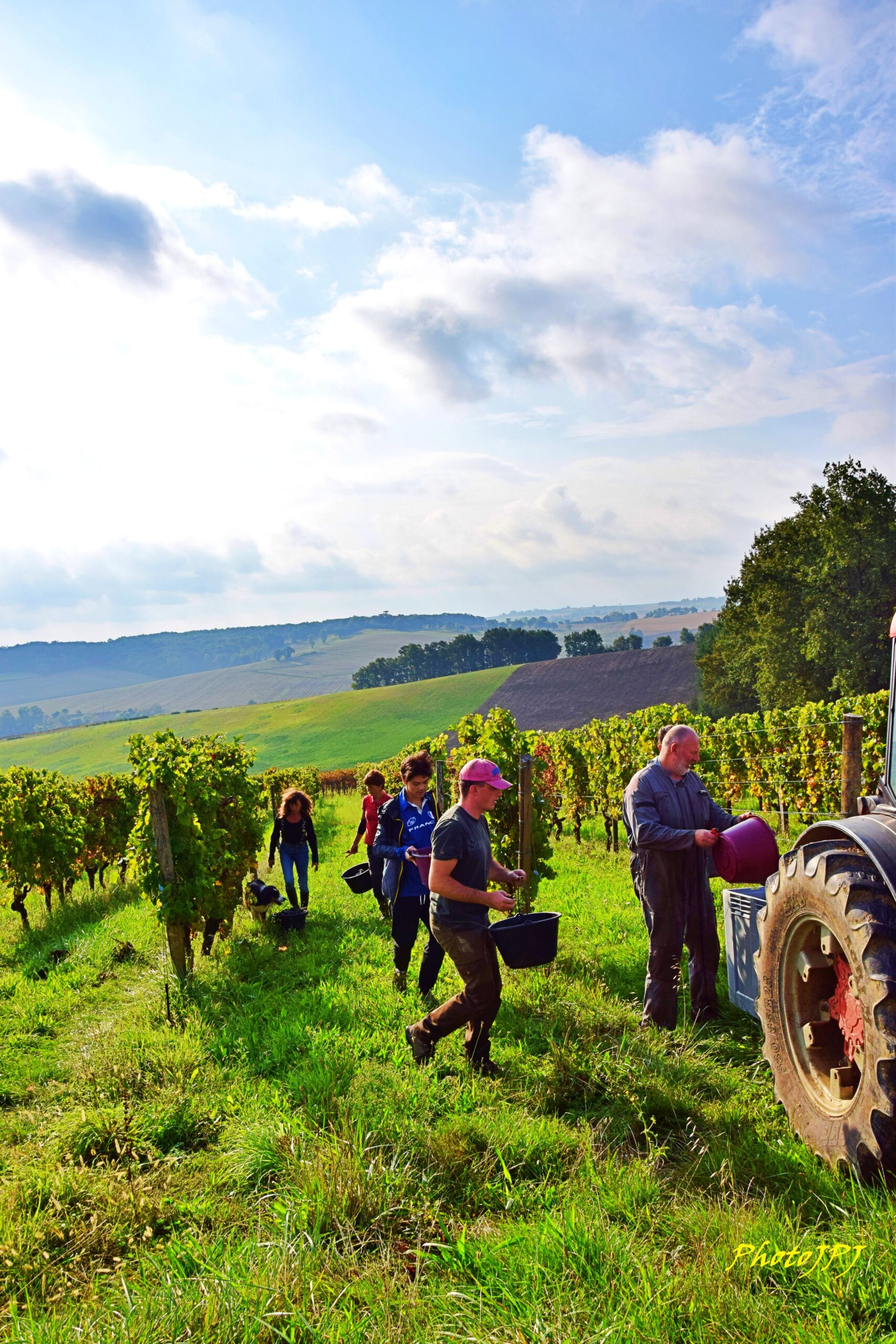 Domaine Christophe Avi 